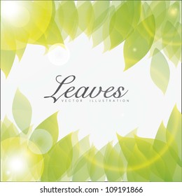 Illustration of shiny leaves isolated on white background, vector illustration