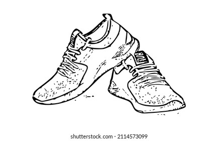 illustration of shoes isolated on white background.