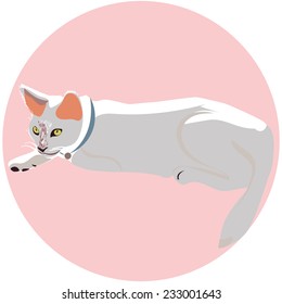 An illustration of a short-haired white cat with collar, on a pink background.