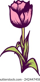 The illustration showcases the delicate beauty of a tulip flower, capturing its elegant form and vibrant colors