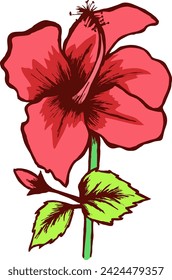 The illustration showcases the exquisite beauty of a hibiscus flower, capturing its vibrant colors and intricate details