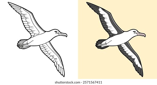 Illustration showcasing an albatross with detailed artwork, in black and white and color style, featuring a flying motion and elegant avian traits.