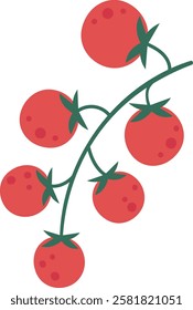 Illustration showcasing a cluster of ripe red tomatoes hanging from a lush green vine. The simple and clean design emphasizes freshness and organic growth, ideal for agricultural themes