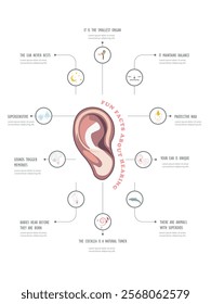 Illustration showcasing interesting facts about the ear, including its functions, unique features, and scientific insights