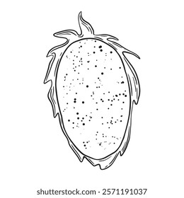 An illustration showcasing a unique and exotic fruit that features a beautifully textured surface