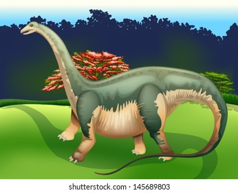 Illustration showing the Apatosaurus