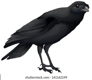 5 Daurian jackdaw Images, Stock Photos & Vectors | Shutterstock