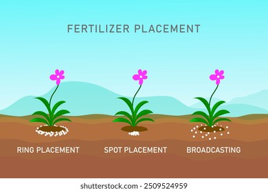 Ilustración que muestra diferentes métodos de colocación de fertilizantes, incluida la colocación de anillos, la colocación de puntos y la transmisión, para mejorar el crecimiento de las plantas y maximizar la absorción de nutrientes