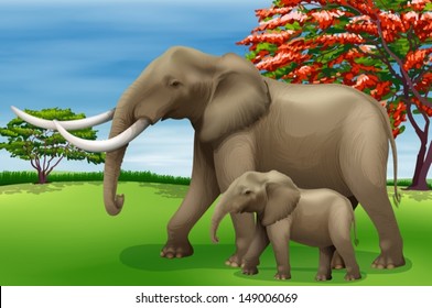 Illustration showing the elephant