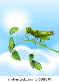 Illustration showing the grasshopper