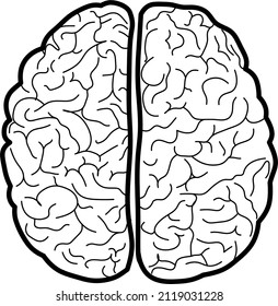 Illustration showing the human brain. vector image in black and white. view from above