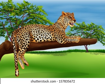 Illustration showing a leopard lying above the branch of a tree