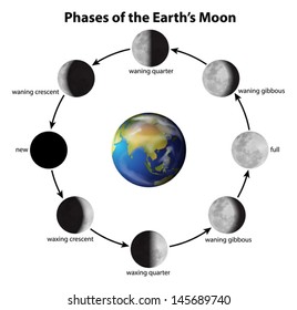 Illustration showing the phases of the Moon