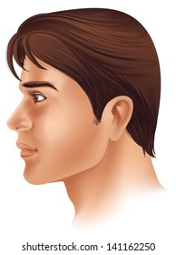 Illustration showing a side view of a man's face