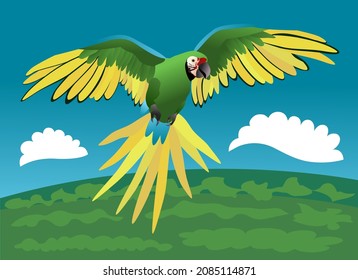 An illustration showing a soldier macaw flying over the jungle.