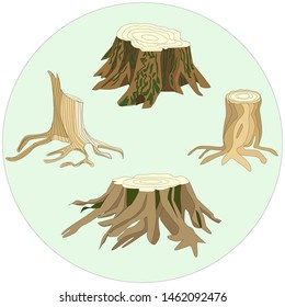 The illustration shows 4 stumps from different trees. Some are covered with moss, some are young or old.