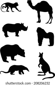 The illustration shows animals, some species of wild mammals. Illustration done in the style of contour drawing, isolated on white background, in separate layers.