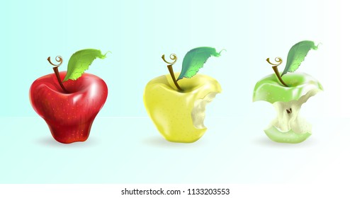 The illustration shows an apple in three forms: whole, bitten, stump. Realistic art.