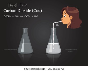 An illustration shows a carbon dioxide experiment where a woman exhales into a flask of lime water, turning it milky, demonstrating CO₂ reaction with lime water.