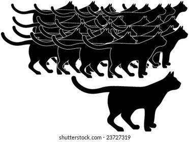 Illustration shows cats as silhouettes
