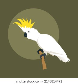 The illustration shows a cockatoo bird.