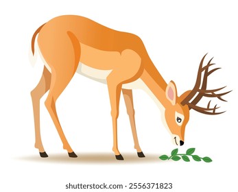 An illustration shows a deer as an herbivore, grazing on plants, showcasing its role as a primary consumer in the food chain.