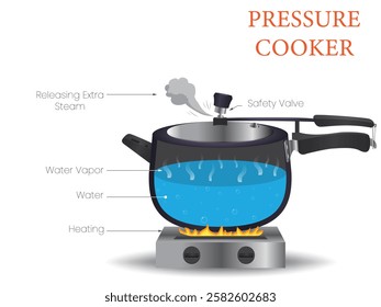 An illustration shows a diagram of a pressure cooker, depicting its components like the lid, safety valve, steam release, and how pressure builds up for cooking.