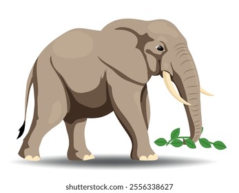 An illustration shows an elephant as an herbivore, feeding on plants, highlighting its role in the ecosystem as a primary consumer.