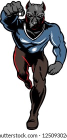The illustration shows a fighting pitbull. He's wearing a superman suit, he's strong and he has a muscular body.The wild pitbull looks angry and aggressive.