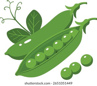 A ilustração mostra vagens de ervilha verde fresca com ervilhas e folhas em estilo natural, destacando a frescura e a simplicidade em um fundo branco limpo. Alegre e humor natural.