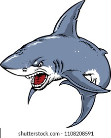 The illustration shows a a huge shark with sharp fangs. 