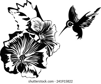 The illustration shows the hummingbird near a beautiful  flowers. Illustration done on separate layers, black contour isolated on white background.