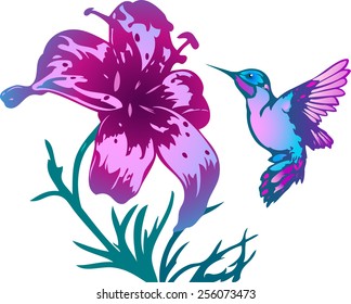 The illustration shows the hummingbird near a beautiful flowers pink. Illustration done on separate layers.