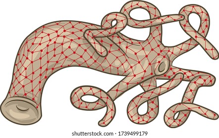 Illustration shows a mesh nervous system of hydra.