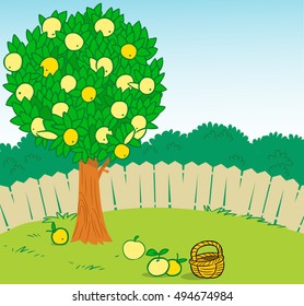 The illustration shows one apple tree in the garden behind the fence., Near a tree on the grass basket. Done in a cartoon style, on separate layers.