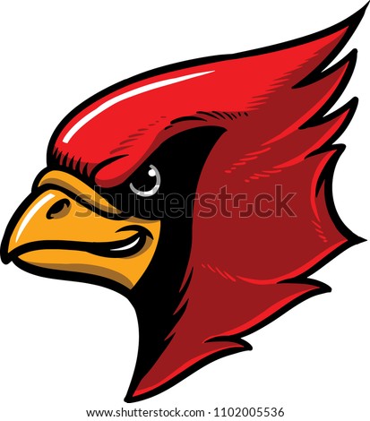The illustration shows a red cardinal bird. 
