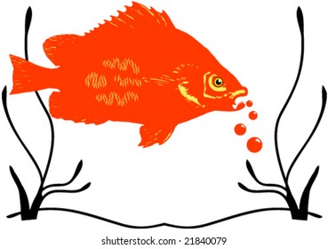 Illustration shows red fish and water plants