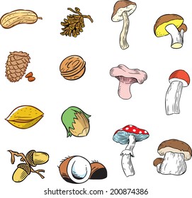 The illustration shows a set of various nuts and various kinds of mushrooms. Illustration done in cartoon style, on separate layers, isolated on white background.