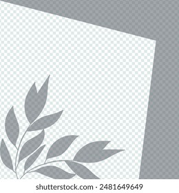The illustration shows the shadow of leaves. The illustration is done in gray color