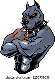 The illustration shows a strong pitbull character. He has a muscular body and he wears a spiked collar. He is one of the best fighters. 