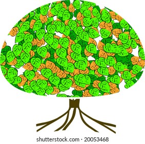 Illustration shows the tree with roots and leaves