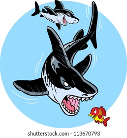 The illustration shows two ferocious sharks in the water. They hunt for small fish. Illustration done in cartoon style on separate layers.