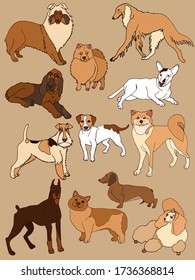 The illustration shows various breeds of dogs, namely collie, Spitz, Russian Greyhound, bull Terrier, Fox Terrier, Bloodhound, Jack Russell Terrier, Dachshund, Doberman, poodle, Corgi, Akita inu.