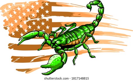 The illustration shows a wild scorpion. vector
