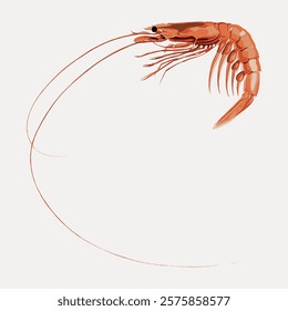 Illustration of a shrimp with long antennae and detailed segments. The shrimp's antennae and segments are prominent, emphasizing its shrimp-like features. Vintage animal illustration isolated, vector.