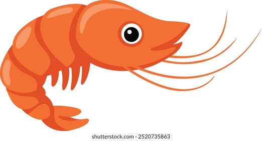 illustration of shrimp on a white background
