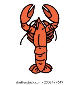 illustration of shrimp with orange color on white background