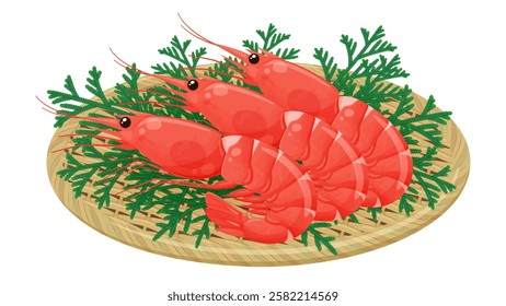 Illustration of shrimp served on a bamboo colander_Red shrimp_Japanese cypress_Japanese cypress asunaro