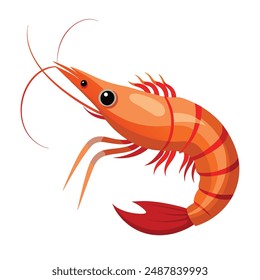  a illustration of a shrimp with white background.