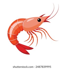  a illustration of a shrimp with white background.